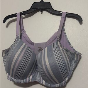 Modern Movement Lilac Purple Striped Bra 40D